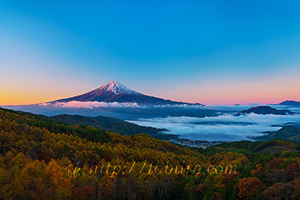 2022,11,03西川林道より未明の富士山を望むb.jpg