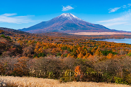 2022,11,04パノラマ台より富士山を望む106b.jpg