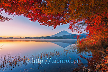 2022,11,09河口湖畔より望む富士山の夜明け015b.jpg