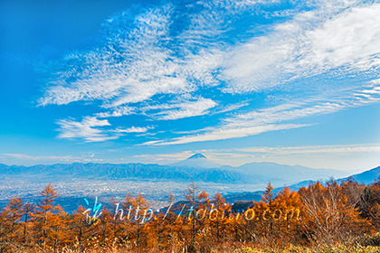 2022,11,11甘利山より富士山を望む083b.jpg