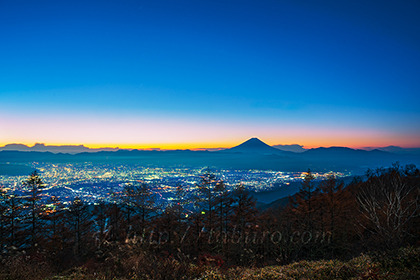 2022,11,12甘利山より望む富士山の夜明け002b.jpg