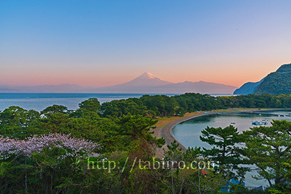 2023,04,01戸田港越しに朝の富士山を望む 155b.jpg