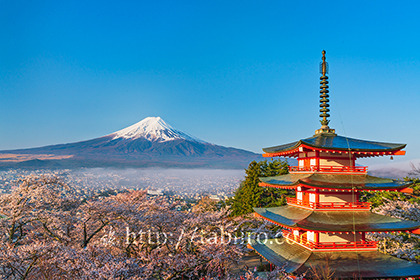 2023,04,04新倉山浅間公園より桜越しに富士山を望む006b.jpg